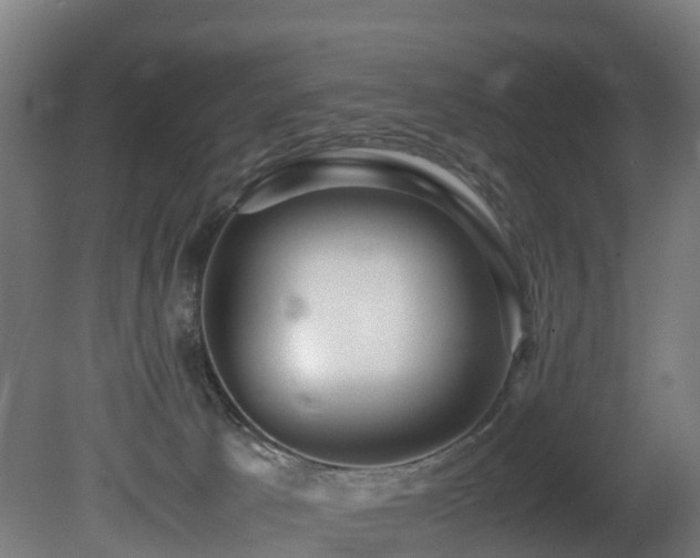 X0000081430033200701121313