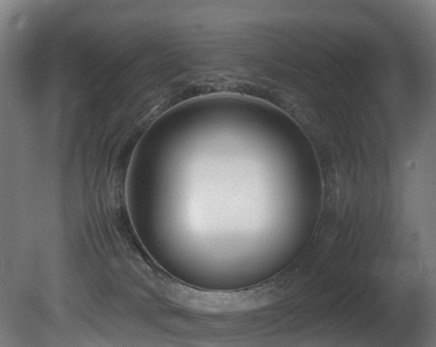 X0000081430034200701121313