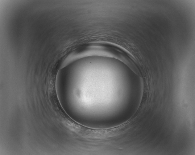 X0000081430037200701121313