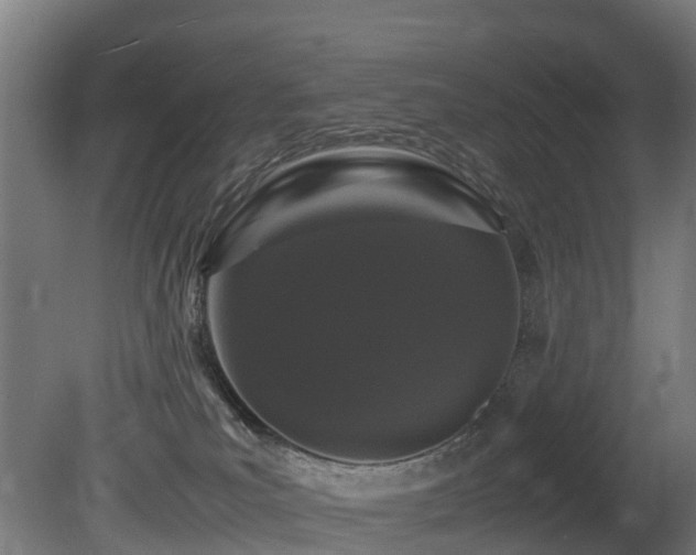 X0000081430039200701121313