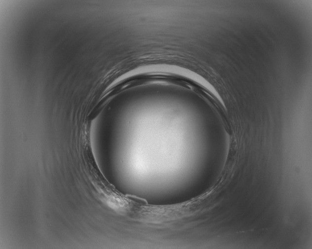 X0000081430045200701121313