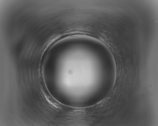 X0000081430050200701121312