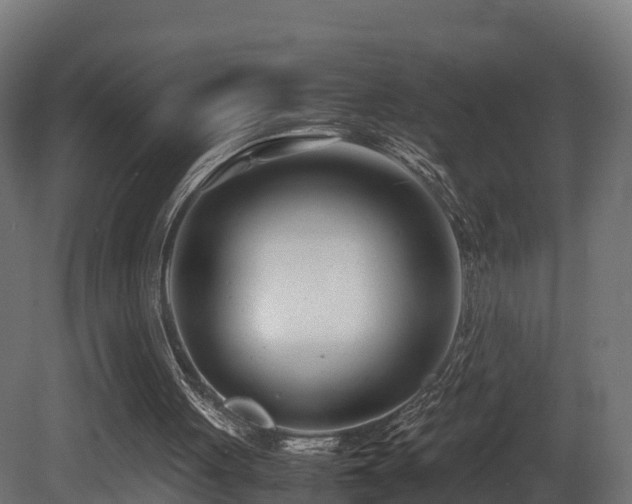 X0000081430051200701121312