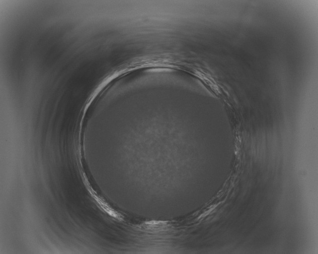 X0000081430052200701121312