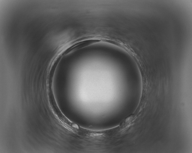 X0000081430055200701121312