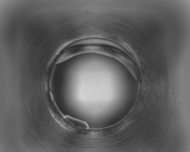X0000081430060200701121313