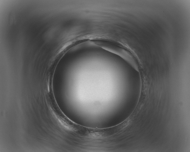 X0000081430062200701121313