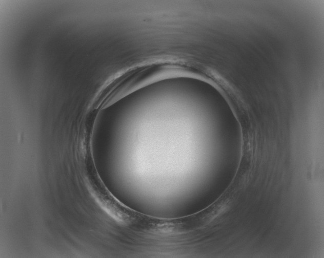 X0000081430064200701121313