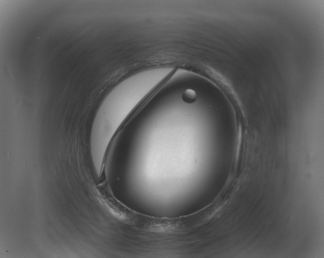 X0000081430065200701121313