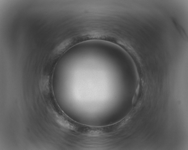 X0000081430066200701121313