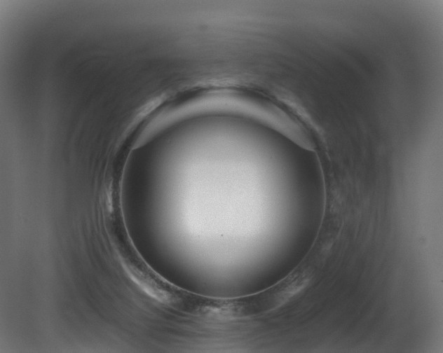 X0000081430068200701121313