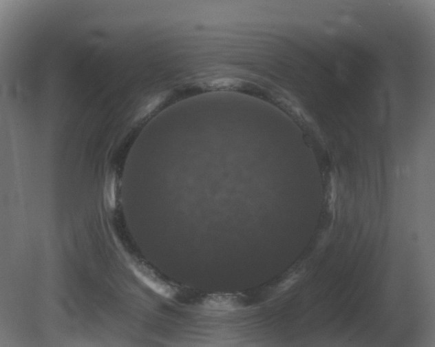 X0000081430076200701121313