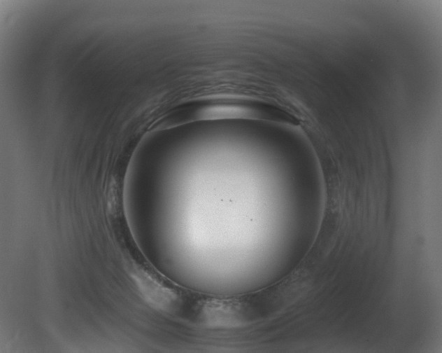X0000081430077200701121313