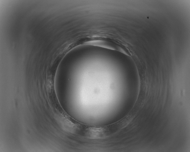 X0000081430085200701121313