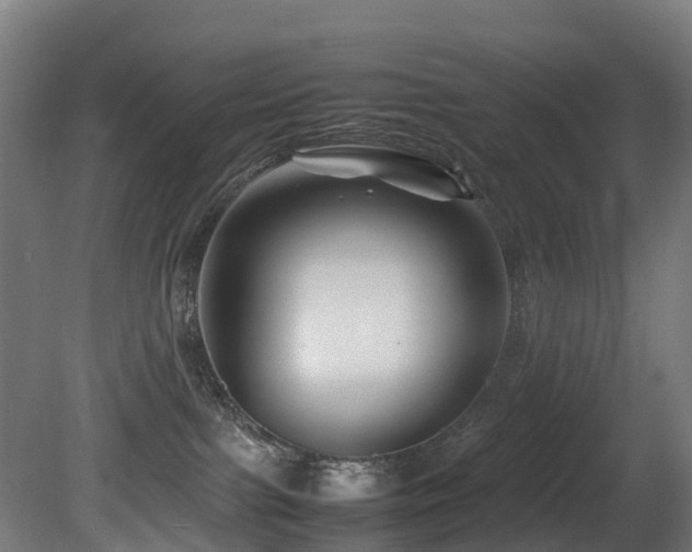 X0000081430091200701121313
