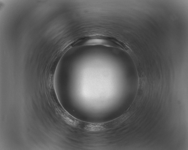 X0000081430093200701121313