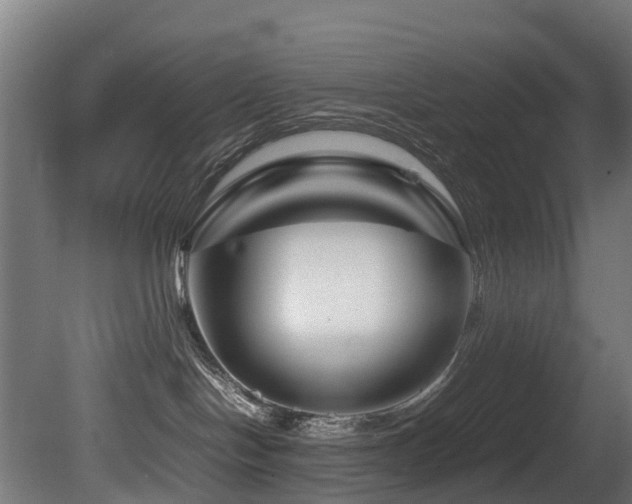 X0000081430094200701121313
