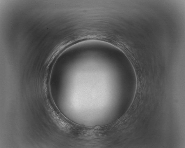 X0000081430098200701121312