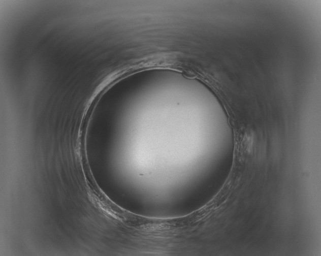 X0000081430100200701121312