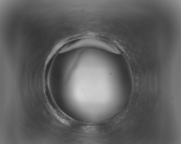 X0000081430102200701121312
