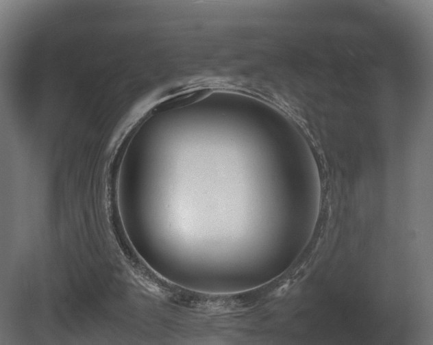 X0000081430103200701121312