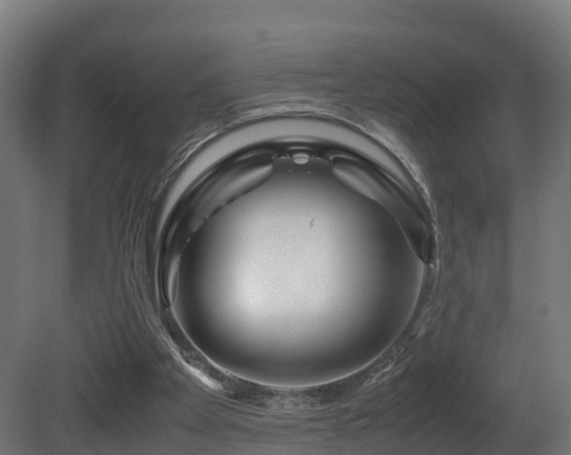 X0000081430105200701121312