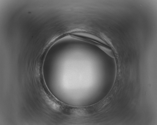 X0000081430106200701121312