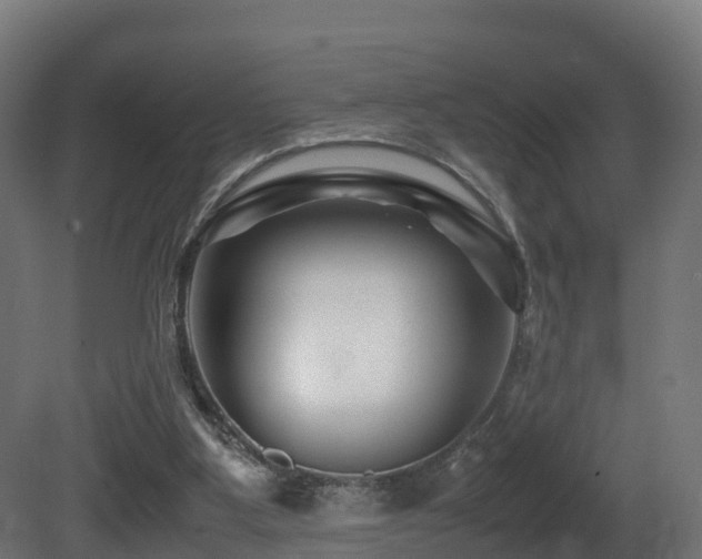 X0000081430107200701121312