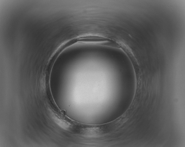 X0000081430108200701121312