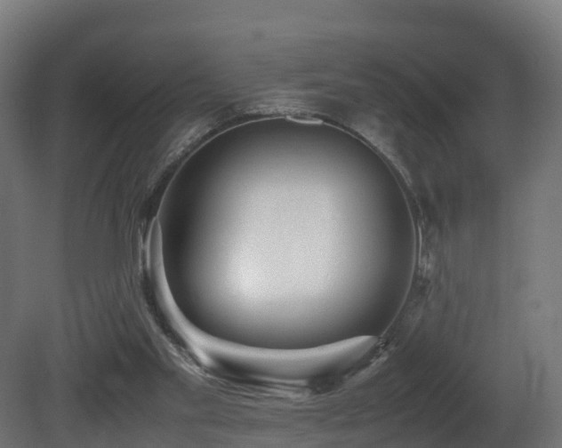 X0000081430109200701121312