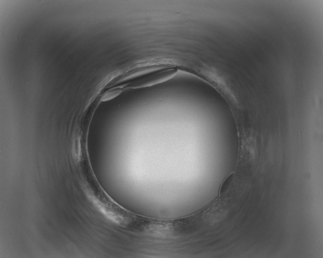 X0000081430110200701121312