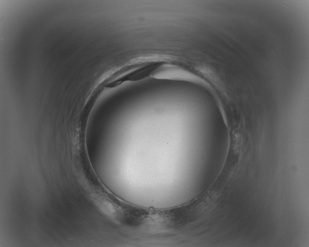 X0000081430111200701121312