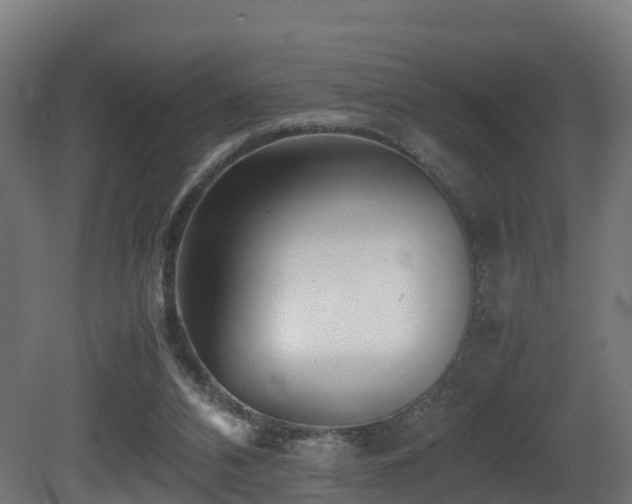 X0000081430112200701121312