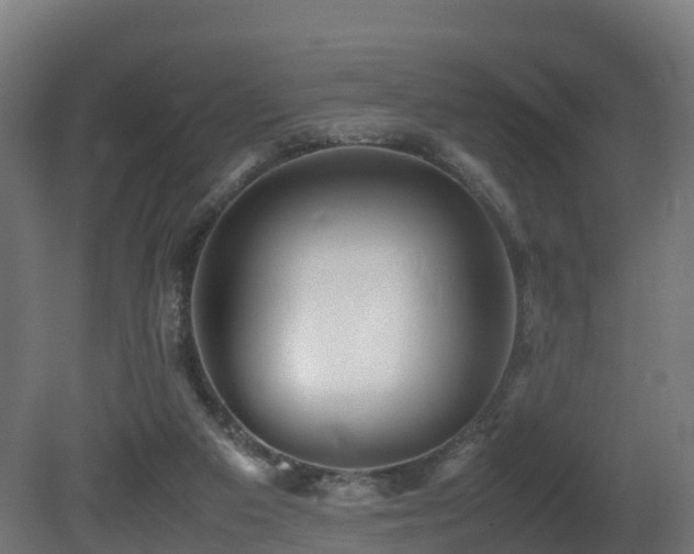 X0000081430113200701121312