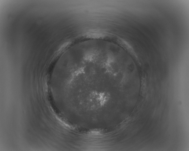 X0000081430114200701121312