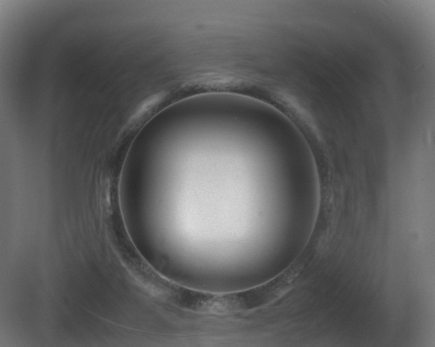 X0000081430115200701121312