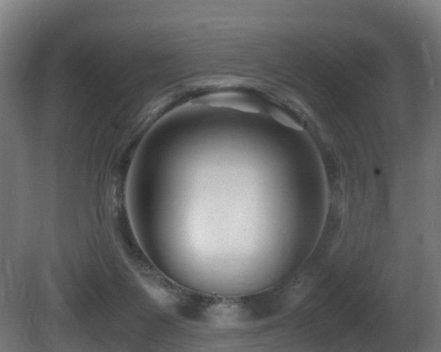 X0000081430119200701121312