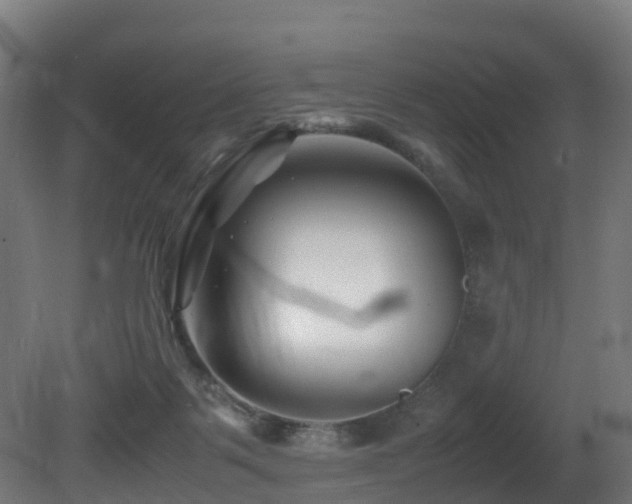 X0000081430123200701121312
