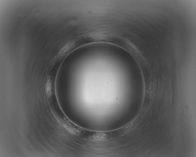 X0000081430124200701121312