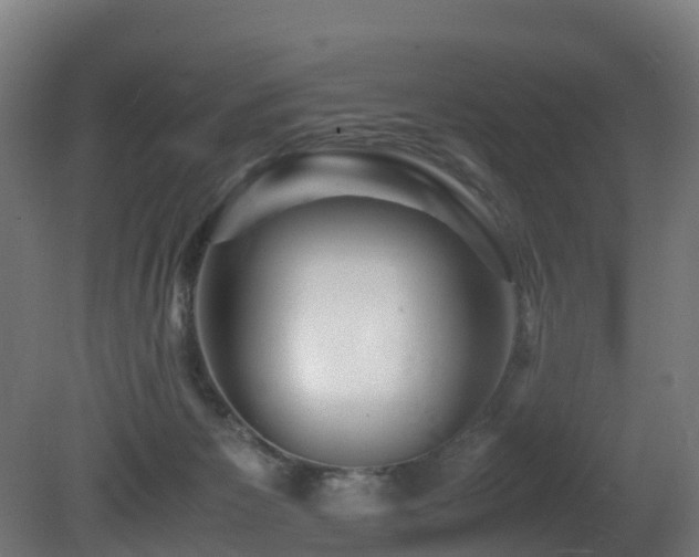 X0000081430125200701121312