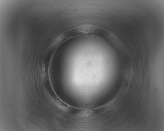 X0000081430128200701121312