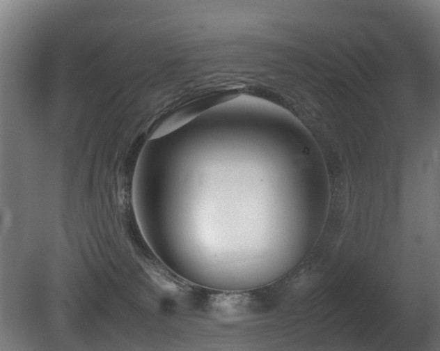 X0000081430135200701121312