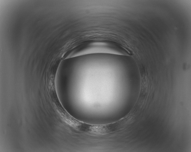 X0000081430141200701121312