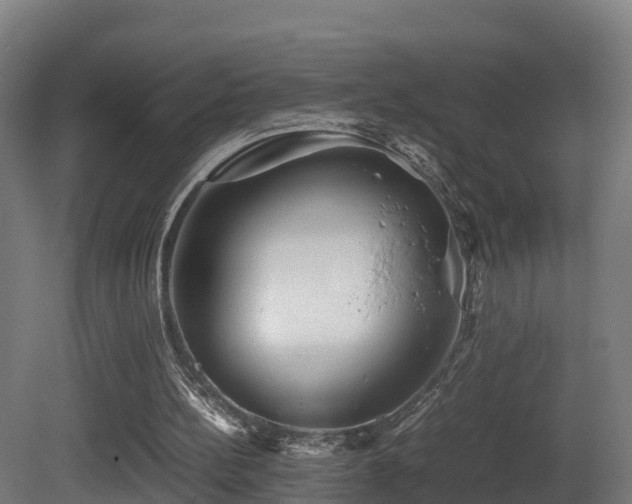 X0000081430148200701121311