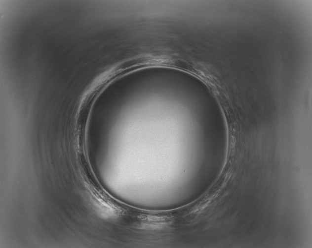 X0000081430149200701121311