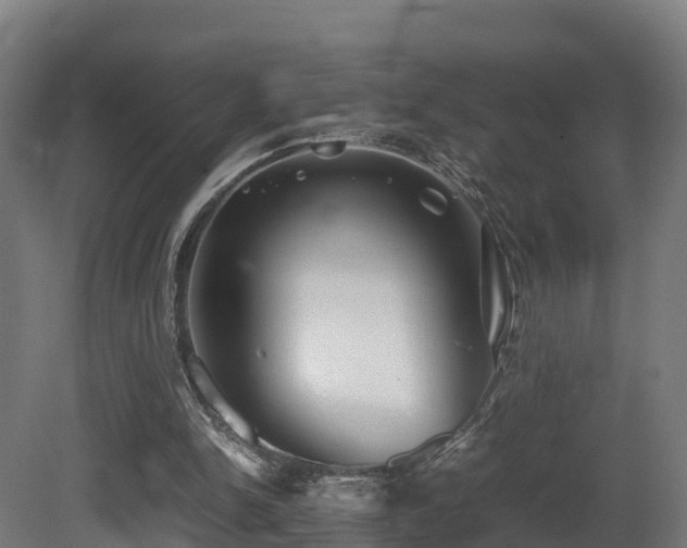 X0000081430150200701121311