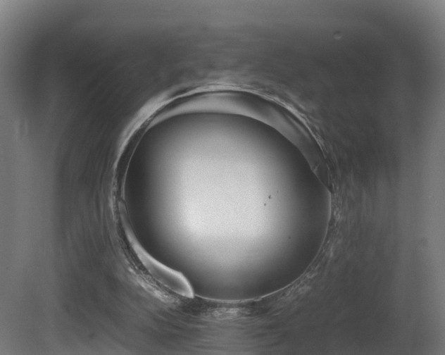 X0000081430152200701121311