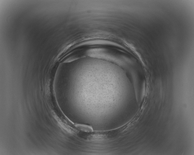 X0000081430154200701121311