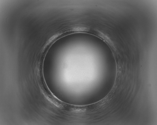 X0000081430155200701121311