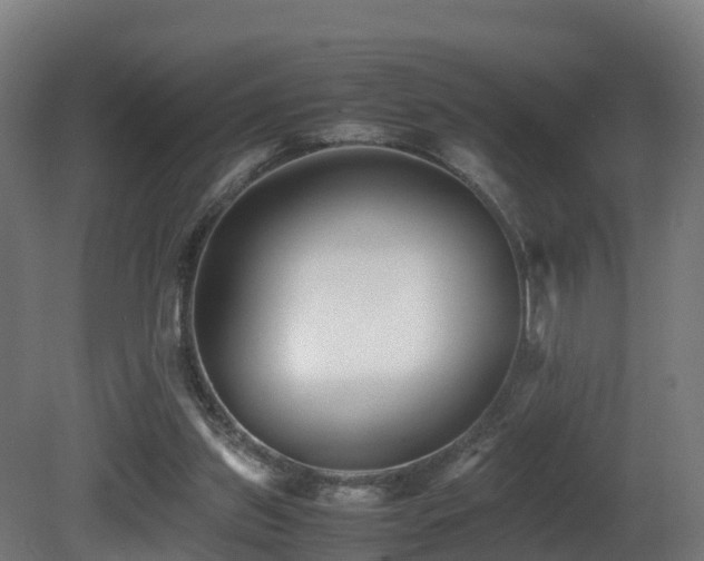 X0000081430157200701121311